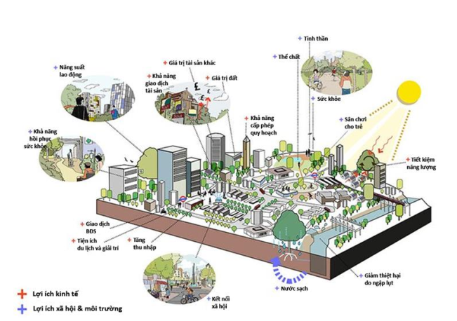 Quản lý và phát triển hạ tầng xanh ở Việt Nam