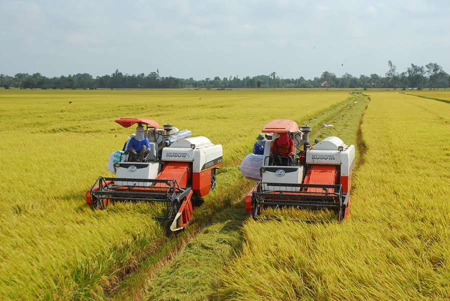 Vua Gạo và Hành Trình Xanh: Đưa Nông Nghiệp Bền Vững Trở Thành Xu Hướng Tất Yếu