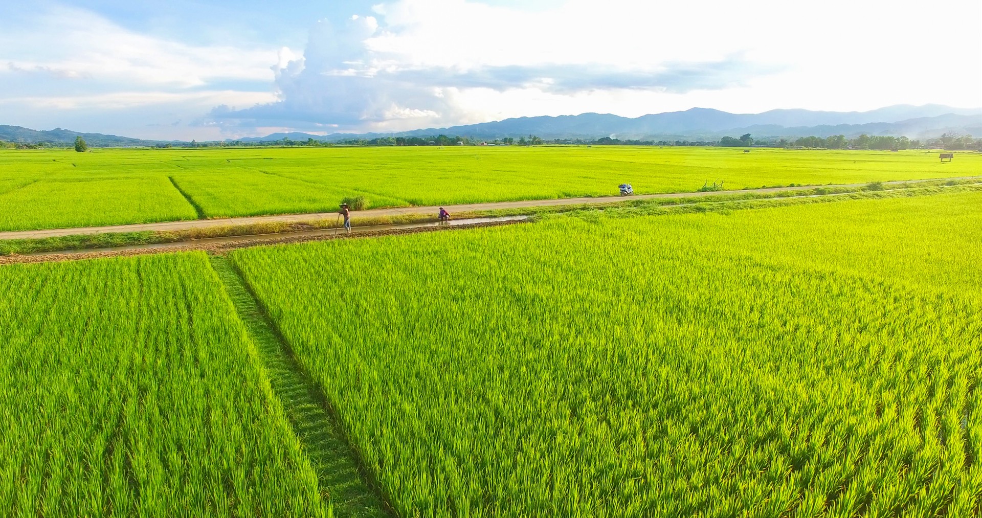 Vinaseed với lối đi khác biệt để trở thành thương hiệu dẫn dắt bền vững trong nông nghiệp Việt Nam