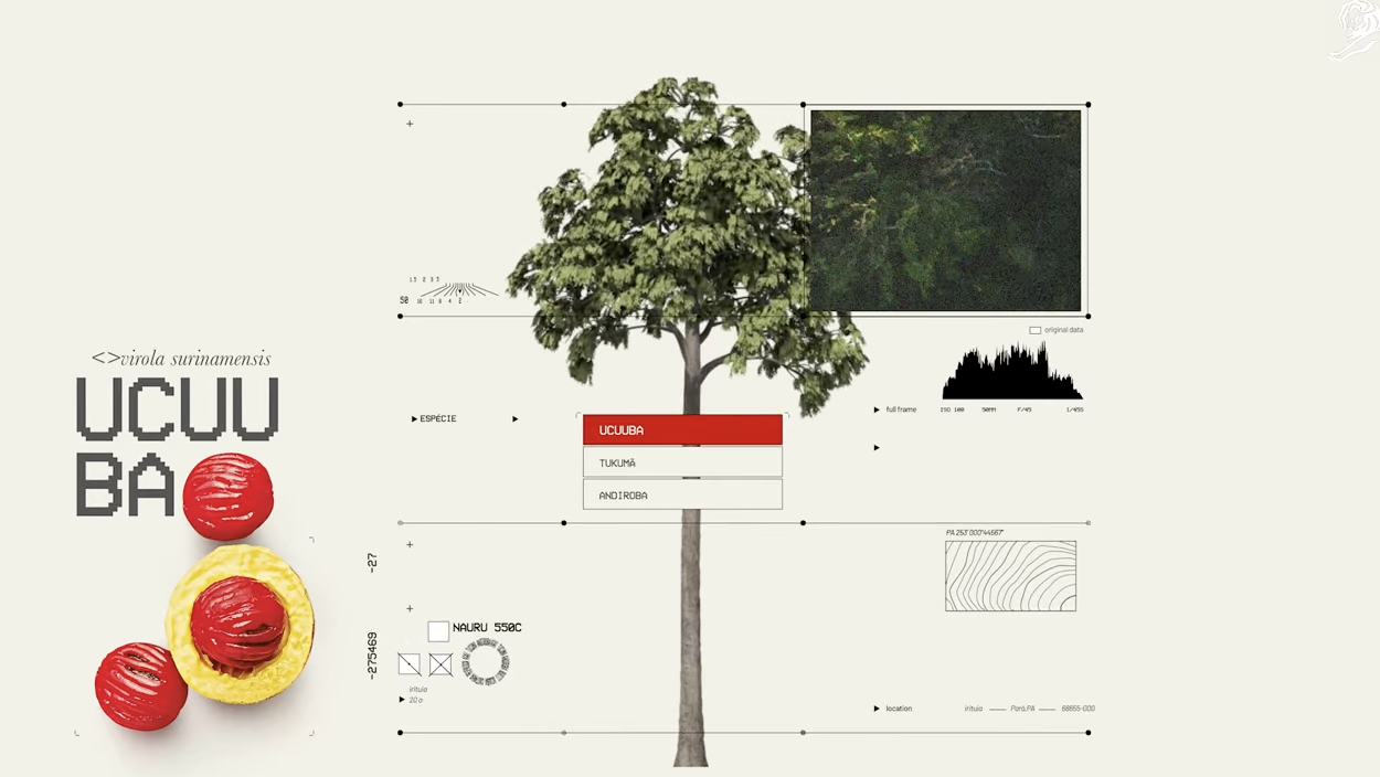 Natura và mô hình kinh tế xanh từ trái tim Amazon (case study)